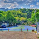 관문체육공원 인라인스케이트장 이미지