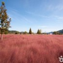 안성맞춤랜드공원4 이미지