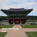 홍산객사 은행나무 | [문화유산_141] 부여 홍산현 관아와 홍산 객사 홍산저포조합 본점_1010