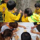 산들바다마을 이미지