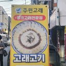 주원고래