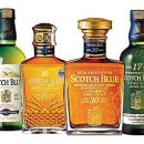 스카치블루 이미지