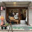 마지드도로시