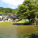 함양교통정류장 이미지