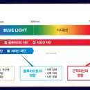 광성안경 네이버블로그