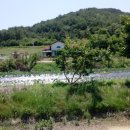 도군로-3 이미지