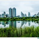 상동호수공원 이미지