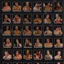 골든글로리 이미지