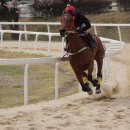 지효목장 이미지