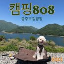 더멍멍 충주점 | 충주 캠핑808 명당자리 E존 후기