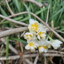 횡간도2 이미지