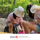 오래캠핑장 | 경기도 가평 캠핑장 추천 계곡있는 메타피아 오래캠핑장 A8 사이트 후기