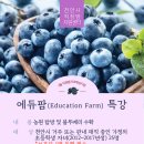 [천안시직장맘지원센터] 7월 직장맘자녀학습지원 프로그램 (농원 탐방 및 블루베리 수확) 이미지