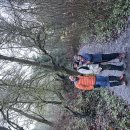 Meadowdale Beach Park ~ Haines Wharf Park loop trail 이미지