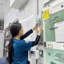 영천축협동물병원 | 단원구동물병원 고양이 특발성 방광염, 생활 환경 관리가 치료의 시작입니다.