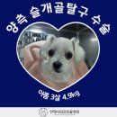 언제나동물병원