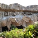 김기현농장 이미지