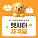 청인산업 | 펫시터 교육 따기쉬운 1급 자격증 국민평생학습센터 국민평생교육원 취득 및 학습과정