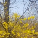 금호대우세탁소 이미지