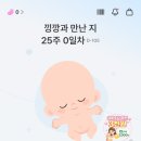 11545-01-53-16 | 임신 25주차 일상 (제주도 여행/해운대 바다 물놀이/운동/ 해운대 맛집)
