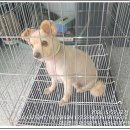 유등지구대 이미지