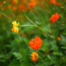 선학하키경기장 이미지