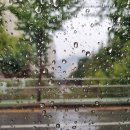 롯데리아팔용점 이미지