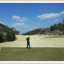 베어크리크GC Daum카페