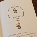 도토관