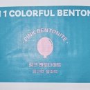 티에스엘 이미지