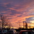 이리유치원 이미지