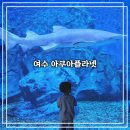 여수비치프리 | [여수 여행] 오랜만에 아이들과 함께한 여수 아쿠아플라넷 (특별전 ; 헬가 스텐첼)