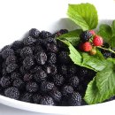 이수미팜베리 이미지