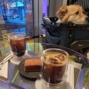 강아지랑 건대 감성카페 더 이퀼리브리엄커피 후기