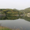 반디불민박 이미지