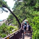 스위트 하우스 이미지