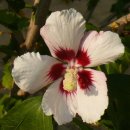 청암공원 이미지