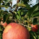 선재농장 이미지