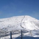 부산진 우체국 앞 이미지