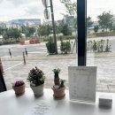 라시포플레르 이미지