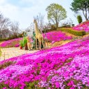 봄:정원 - 달성군 테크노중앙대로 326-34 | 봄:정원