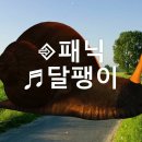 패닉-달팽이 이미지