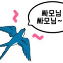 흥제비