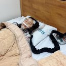 다원 | 입벌리고 자는 아이, 아데노이드 편도 절제술 전 아산병원 소아 수면다원검사 후기