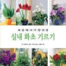 실내 화초 기르기/안냐 플레미히/박규호옮김/북스캔/153쪽 이미지