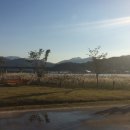 칠곡보오토캠핑장 이미지