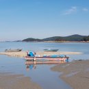 대부해솔길 4코스 이미지