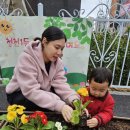 열린어린이집 식목행사 '청천1동 꽃밭을 꾸며요' - 여름반 이미지