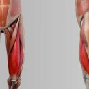 제일메가스포 이미지