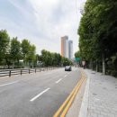 메밀과만두가있는모퉁이 이미지